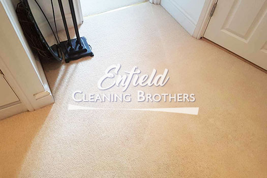 carpet cleaning